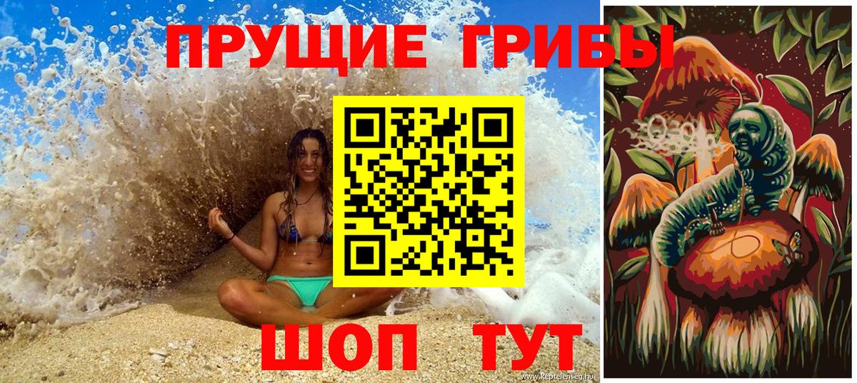 Псилоцибиновые грибы мицелий Ртищево